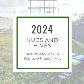2024 Alabama Nucleus Hive with Bees