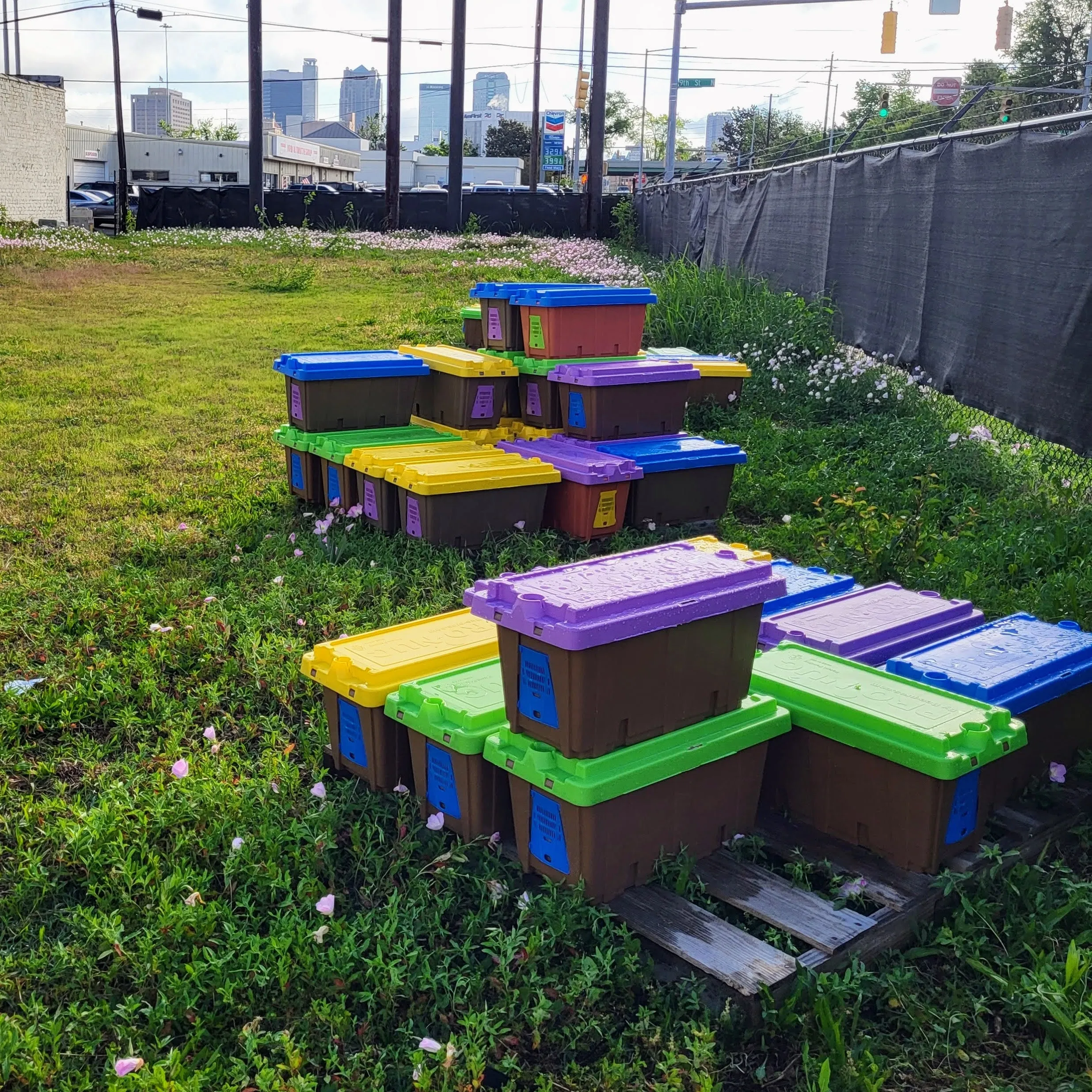 2025 Alabama Nucleus Hive with Bees