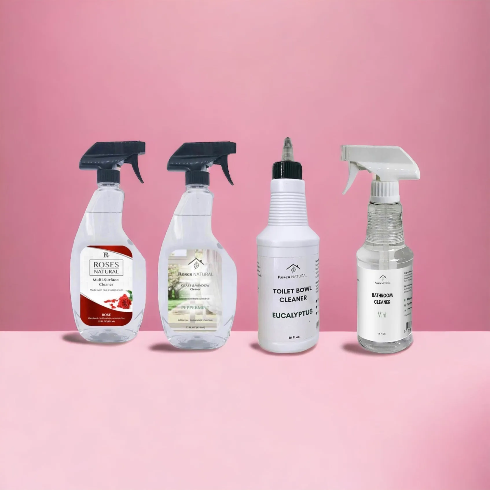 4 Cleaning Essential Kit