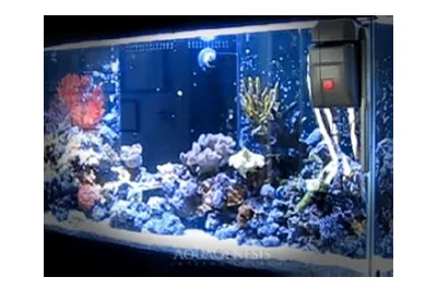 AquaGenesis Robosnail Automatic Aquarium Glass Cleaner