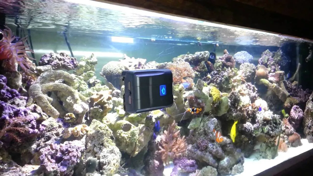 AquaGenesis Robosnail Automatic Aquarium Glass Cleaner