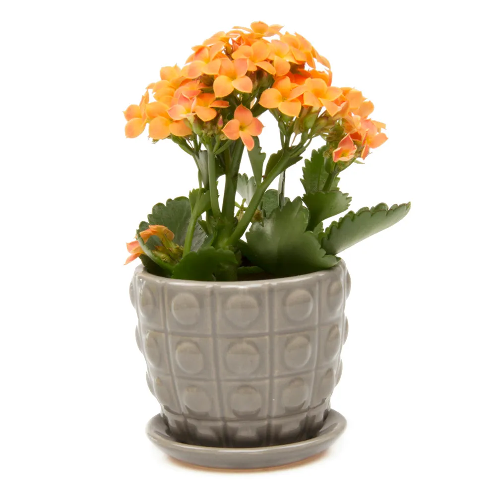 Convex Ceramic Pot With Drainage Hole And Saucer Kit