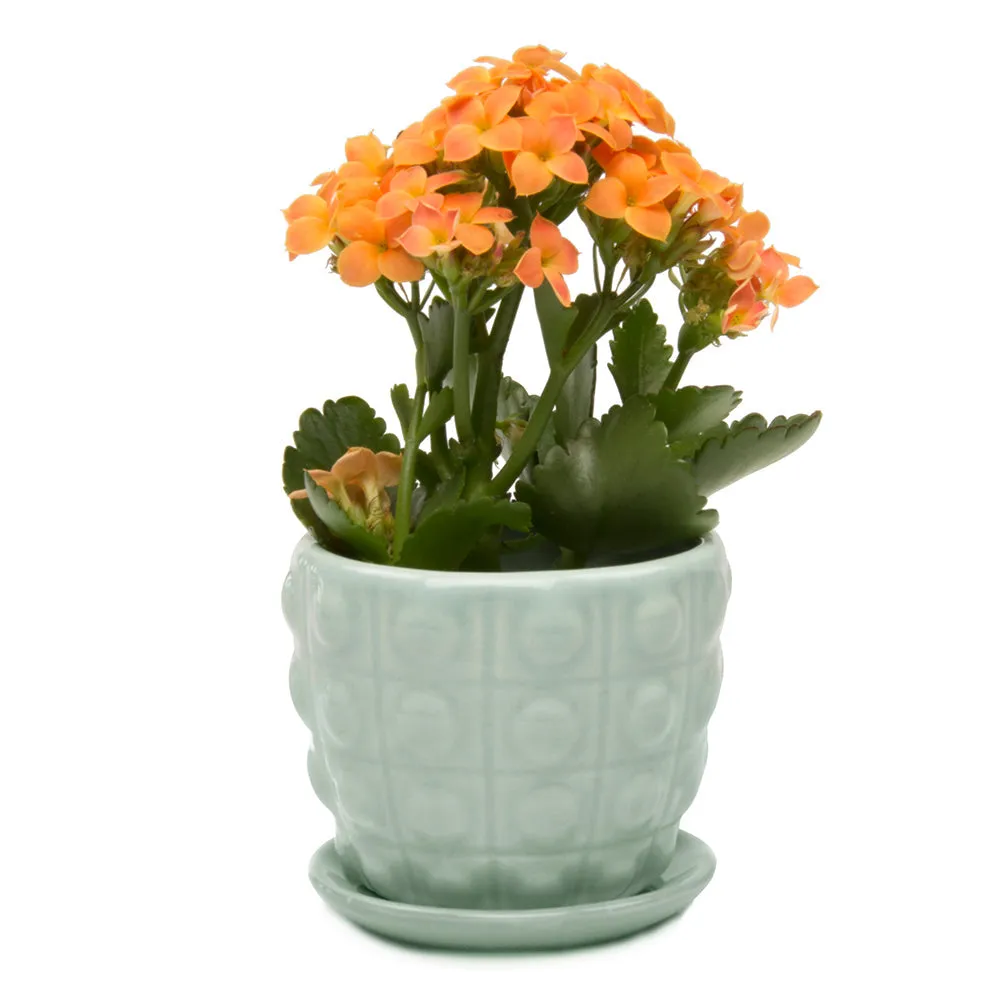 Convex Ceramic Pot With Drainage Hole And Saucer Kit