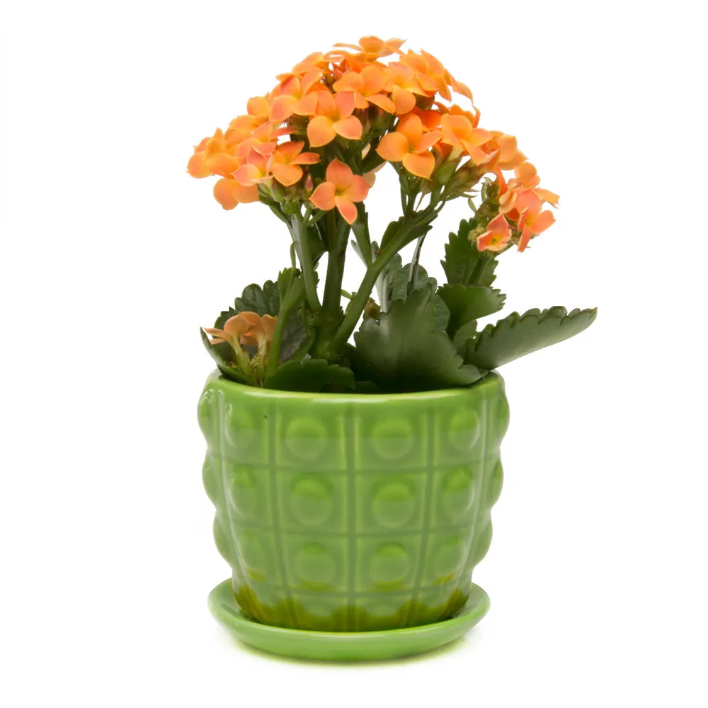 Convex Ceramic Pot With Drainage Hole And Saucer Kit