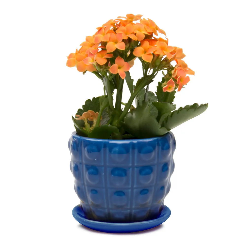 Convex Ceramic Pot With Drainage Hole And Saucer Kit