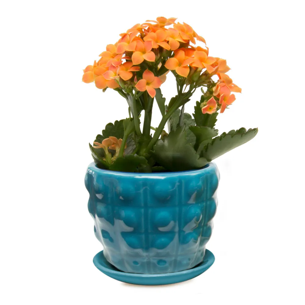 Convex Ceramic Pot With Drainage Hole And Saucer Kit