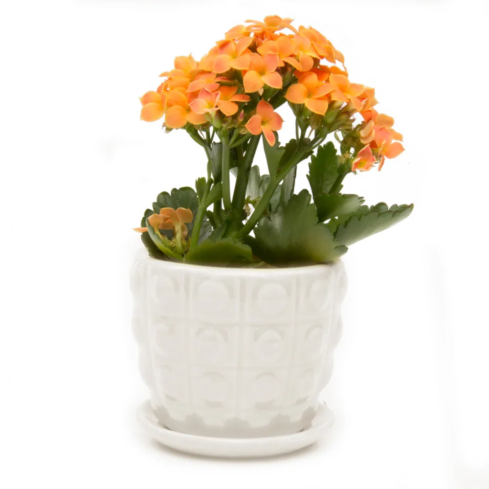 Convex Ceramic Pot With Drainage Hole And Saucer Kit