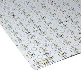 Core LFS-2412 12x24 Flexible LED Sheet Modules