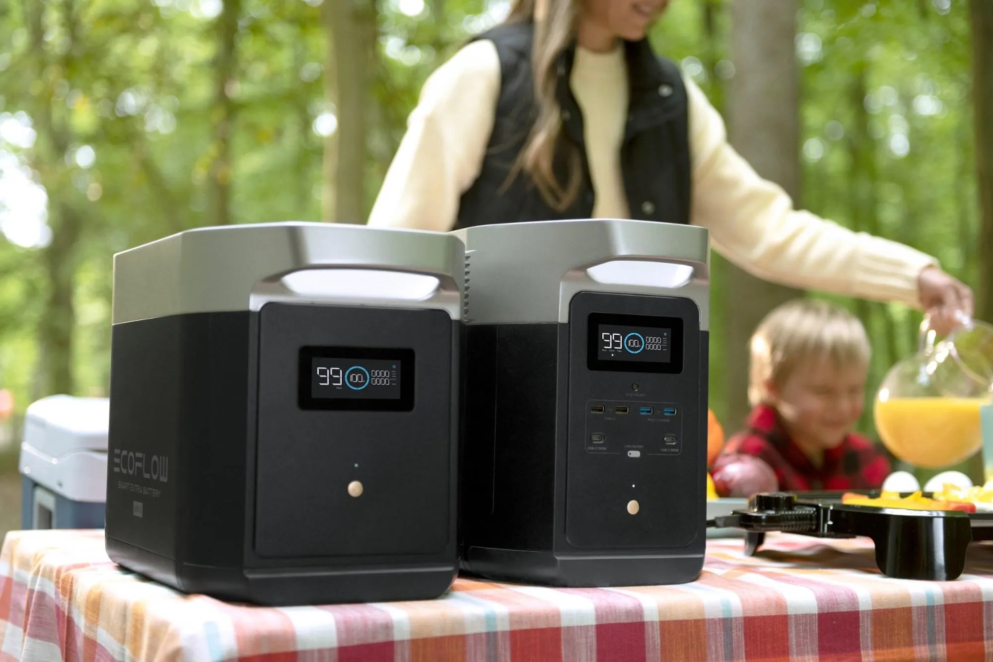 EcoFlow DELTA MAX 2000 2016Wh Portable Power Station