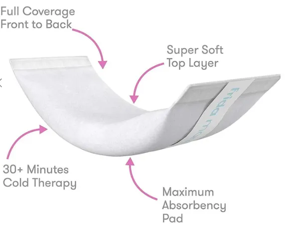 Frida Mom Instant Ice Maxi Pads