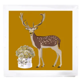 Nicolette Mayer Acrylic Trays (Large)