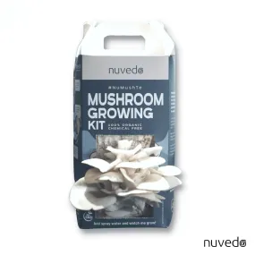 Nuvedo Fairy-White Mushroom Growing Kit