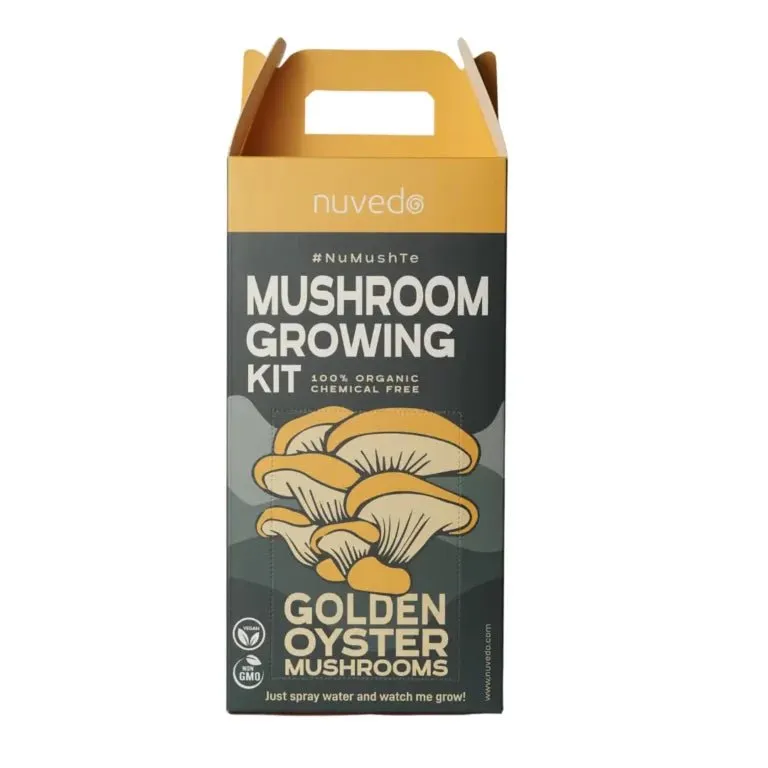 Nuvedo Golden Oyster Mushroom Growing Kit