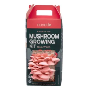 Nuvedo Pink Oyster Mushroom Growing Kit