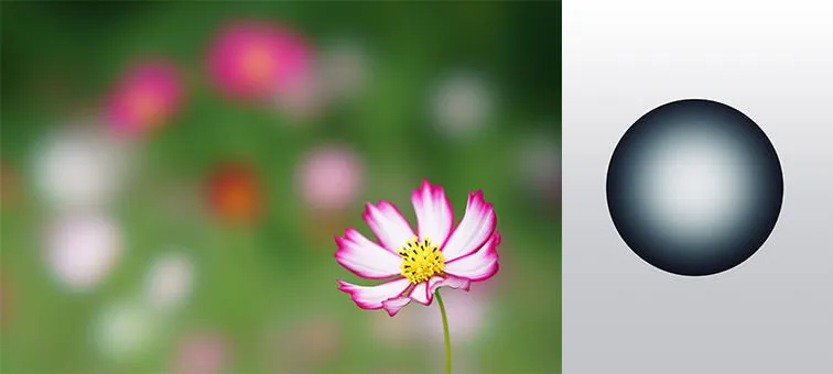 Sony FE 100mm f/2.8 STF OSS GM Lens