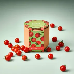 Tiny Terracotta Garden Kit - Cherry Tomatoes