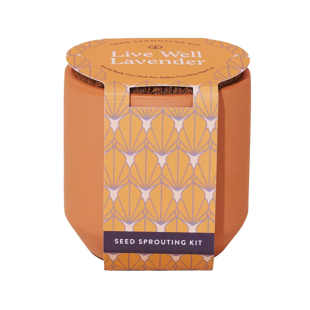 Tiny Terracotta Indoor Garden Grow Kit