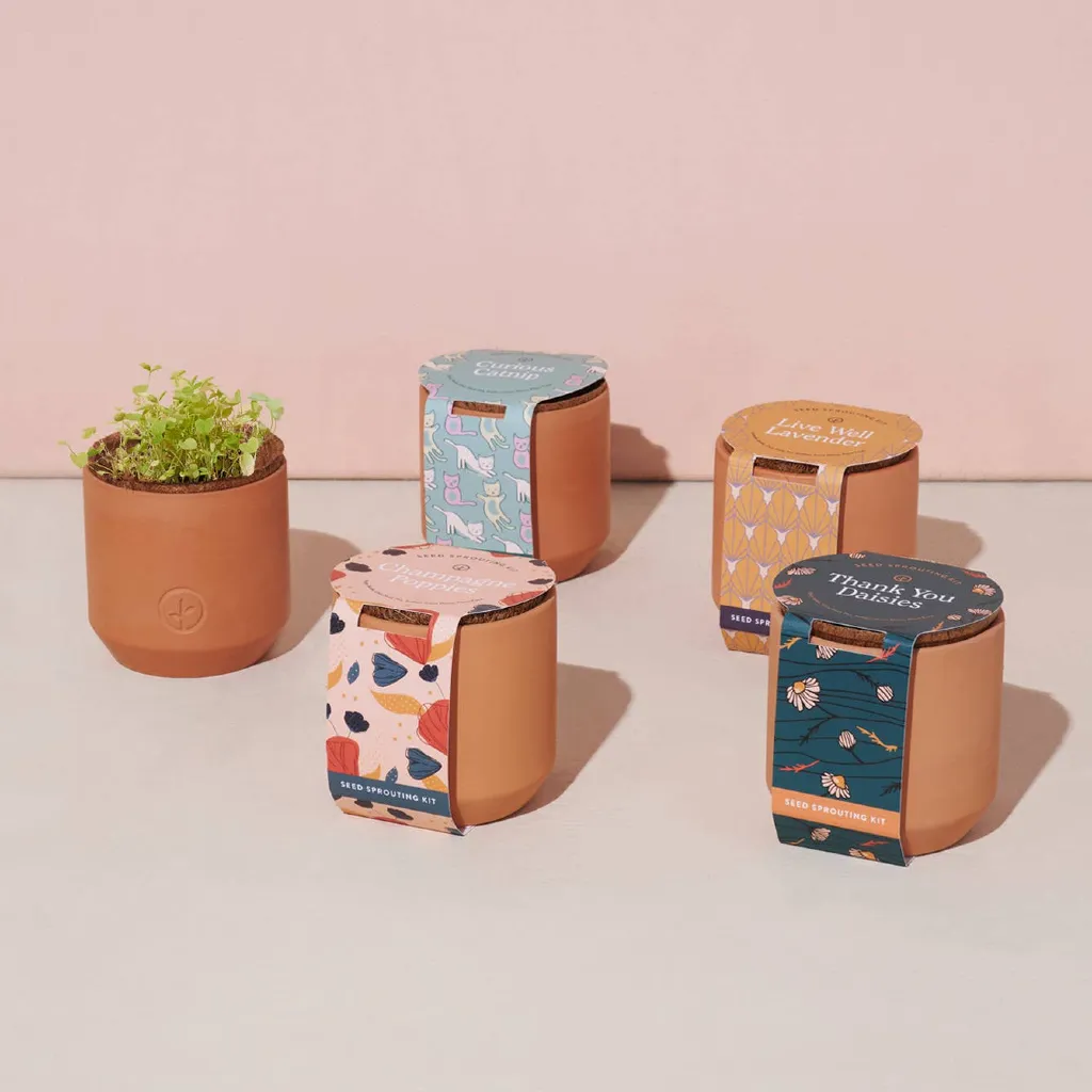 Tiny Terracotta Indoor Garden Grow Kit
