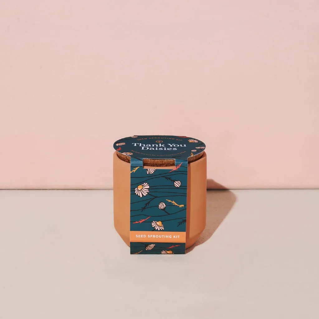Tiny Terracotta Indoor Garden Grow Kit