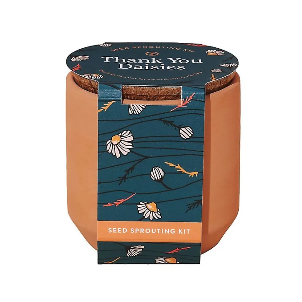 Tiny Terracotta Indoor Garden Grow Kit