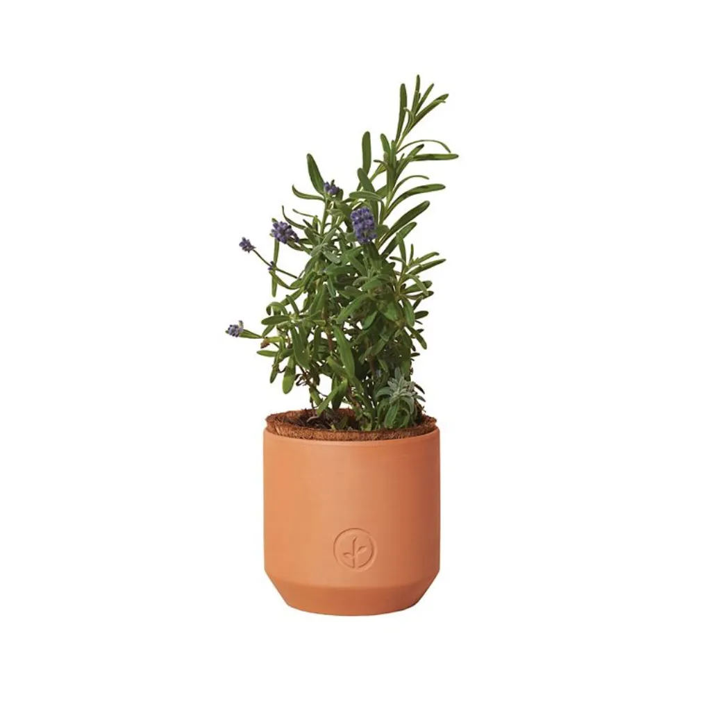 Tiny Terracotta Indoor Garden Grow Kit