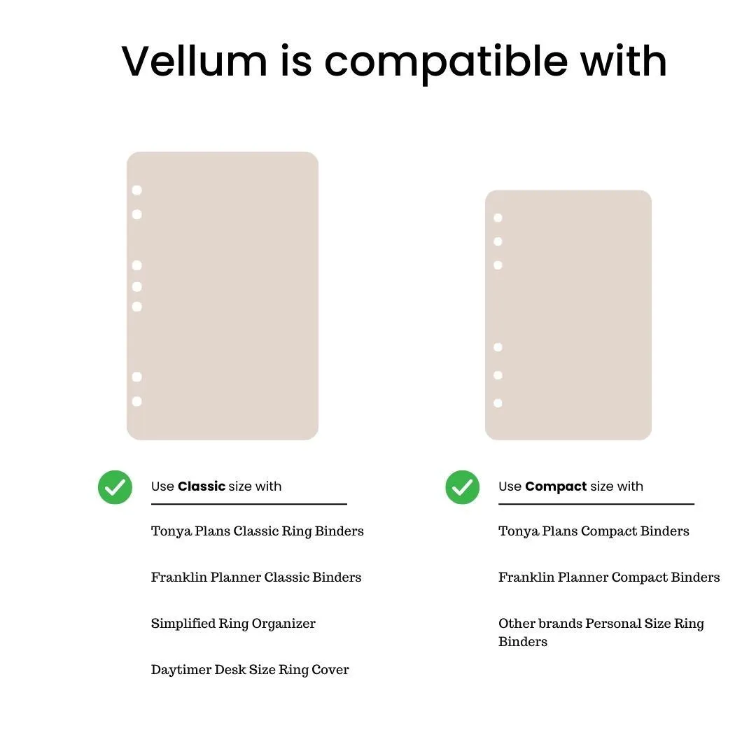 Vellum - Tulips Window