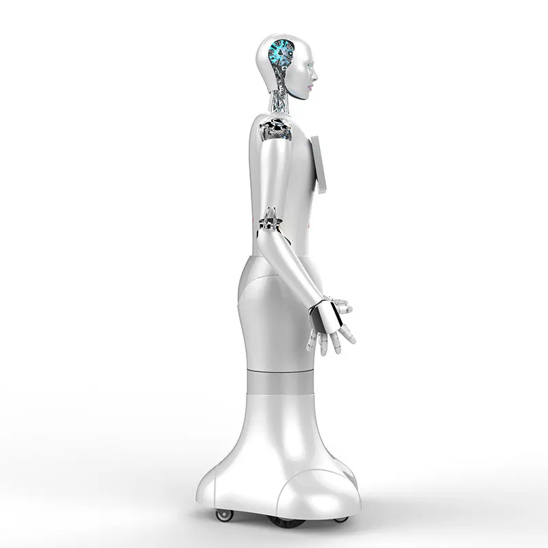 WO-WE Humanoid robots with artificial intelligence, commercial robot service robots humanoid robots