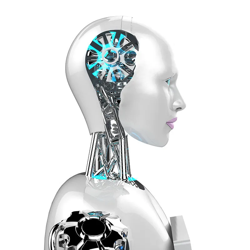 WO-WE Humanoid robots with artificial intelligence, commercial robot service robots humanoid robots