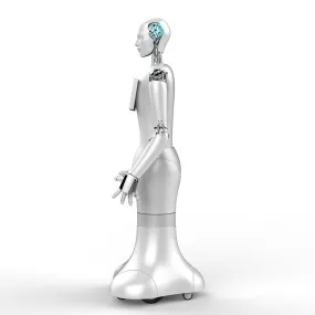 WO-WE Humanoid robots with artificial intelligence, commercial robot service robots humanoid robots