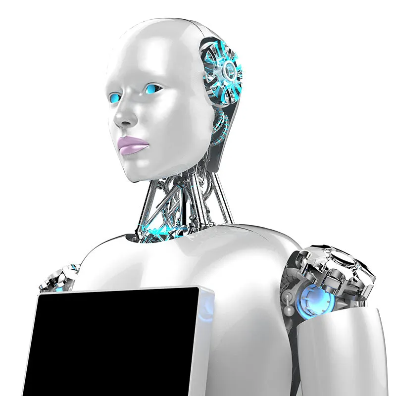 WO-WE Humanoid robots with artificial intelligence, commercial robot service robots humanoid robots