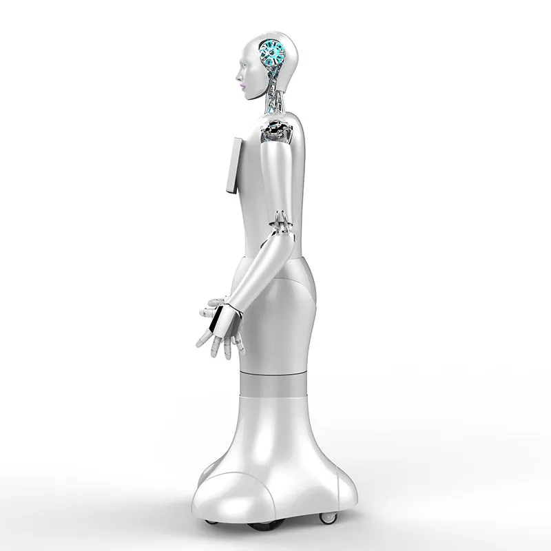 WO-WE Humanoid robots with artificial intelligence, commercial robot service robots humanoid robots